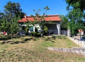 AnteAna Vrlika Split