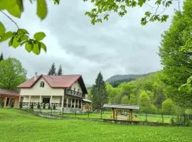 Pensiunea Poiana Cerbului