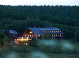 Hotel Jens Weissflog，位于奥泊维森塔尔奥博外森哈滑雪场附近的酒店
