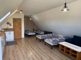 Apartament z tarasem i widokiem na las