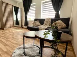 Moderne Wohnung bei BASF