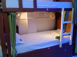 New Frezon hostel，位于新德里的酒店