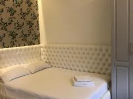 Littel Nest Satu Mare
