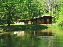 Chalet - gîte avec étang