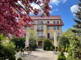 欧罗巴酒店，位于波兰尼卡-兹德鲁伊的酒店