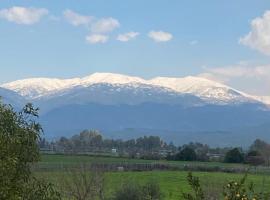 The Roof，位于凯法布鲁姆的酒店