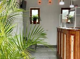 露西之星酒店，位于克卢日-纳波卡的酒店