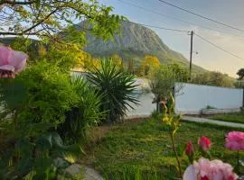 Grace and Harmony of Ancient Corinth