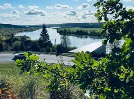 Menulio Misko Nights