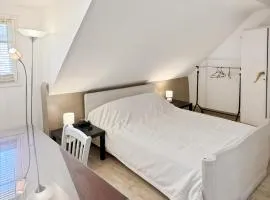 La maison Hortensias Vic-Sur-Cère - 6pers