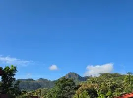 Cozy Houses in Tropical Forest Mountain Paradise