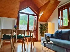 Apartamento Sobremonte: vistas al Rio Gallego