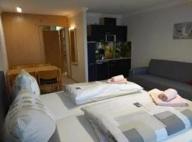 Ferienwohnung Anna in Sankt Englmar