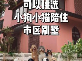 Woah Puppy Home Guesthouse Woah小狗之家民宿，位于深圳的酒店