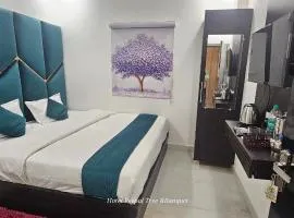 HOTEL PEEPAL#TREE Near Rambag Railway Station -Free Parking And Wi-fi Facilities - A Top Rated Hotel