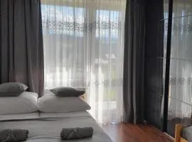 Apartament w Pieninach