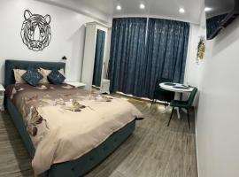 Studio，位于Dorohoi的低价酒店