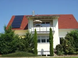 Ferienwohnung direkt am Rhein