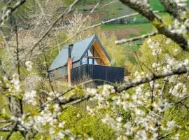 Casa Aristocrată - La noi la munte