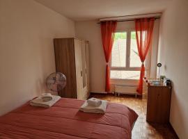 Room for rent with panoramic view lake Vevey，位于沃韦的酒店