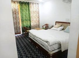 Zulfiqar Hotel & Restaurant，位于卡尔吉尔的酒店