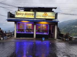 Spicy Bristo, Silent Dragon Inn，位于Sonāda的酒店