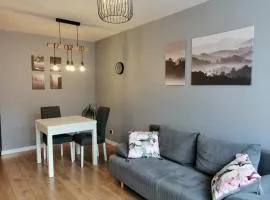 Apartament w Centrum