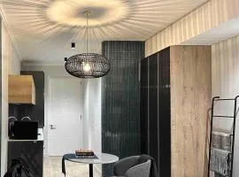 Explore Ellipse - Peacock Room