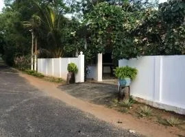 AKM Resort Whisky Point