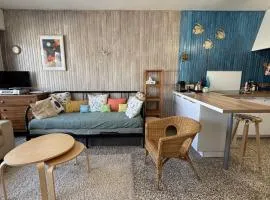 Appartement Fort-Mahon Plage vue mer 50m plage parking privé