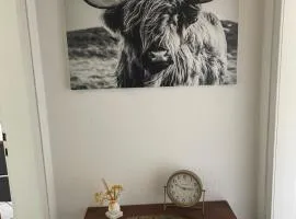 MAD Ferienwohnungen 1