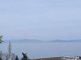 Ani Home Pogradec