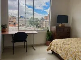 Casita de Plantas