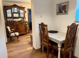 Apartament Antique Pruszków Centrum，位于普鲁什库夫的酒店
