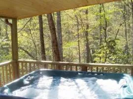Cabin on the Hill-Peaceful 1BR 20-Acre Rural Retreat-HotTub&WiFi near Asheville