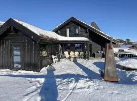 Pet Friendly Home In Hovden I Setesdal