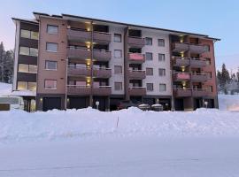 Yll&auml;s Chalet 4304，位于易拉斯加威的木屋