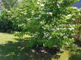 Exkl FH Wörtelhus, Kamin, Sauna, W-LAN