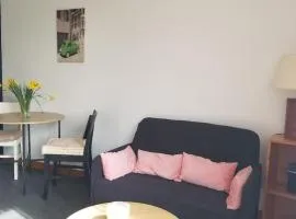 Appartement lumineux avec jardin à Amboise