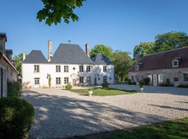 Le Château du Sollier - Charme calme et confort climatisation à 5mn du peage，位于布尔日的乡间豪华旅馆