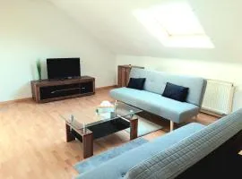 Seyfarthrooms - Großröhrsdorf 2 - zentrale Lage, stilvolle Einrichtung, Blick in den Garten