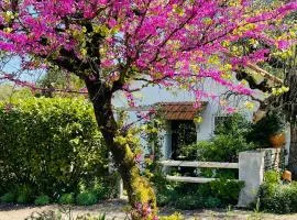 La Petite Maison