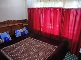 Bed And Breakfast Srinagar Lake，位于斯利那加的酒店