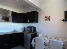 Studio cosy 4 pers, ski aux pieds, casier à skis, parkings gratuits, équipement complet inclus. - FR-1-602-4