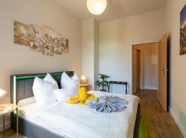 Macabu Apartment Marie，位于茨维考的酒店