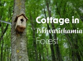 Cottage in Tskhvarichamia forest，位于姆茨赫塔的酒店