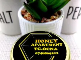 Honey apartment