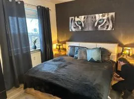 Top Business Apartment