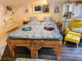MK Apartment Karpaty