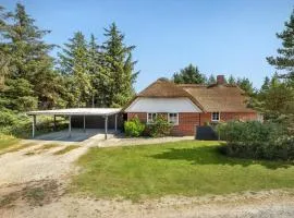 索伦拉森斯万格布拉万德度假屋